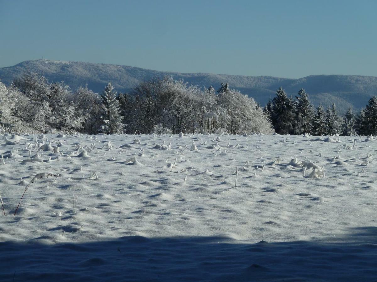 La Fritillaire La Montagne  Zewnętrze zdjęcie