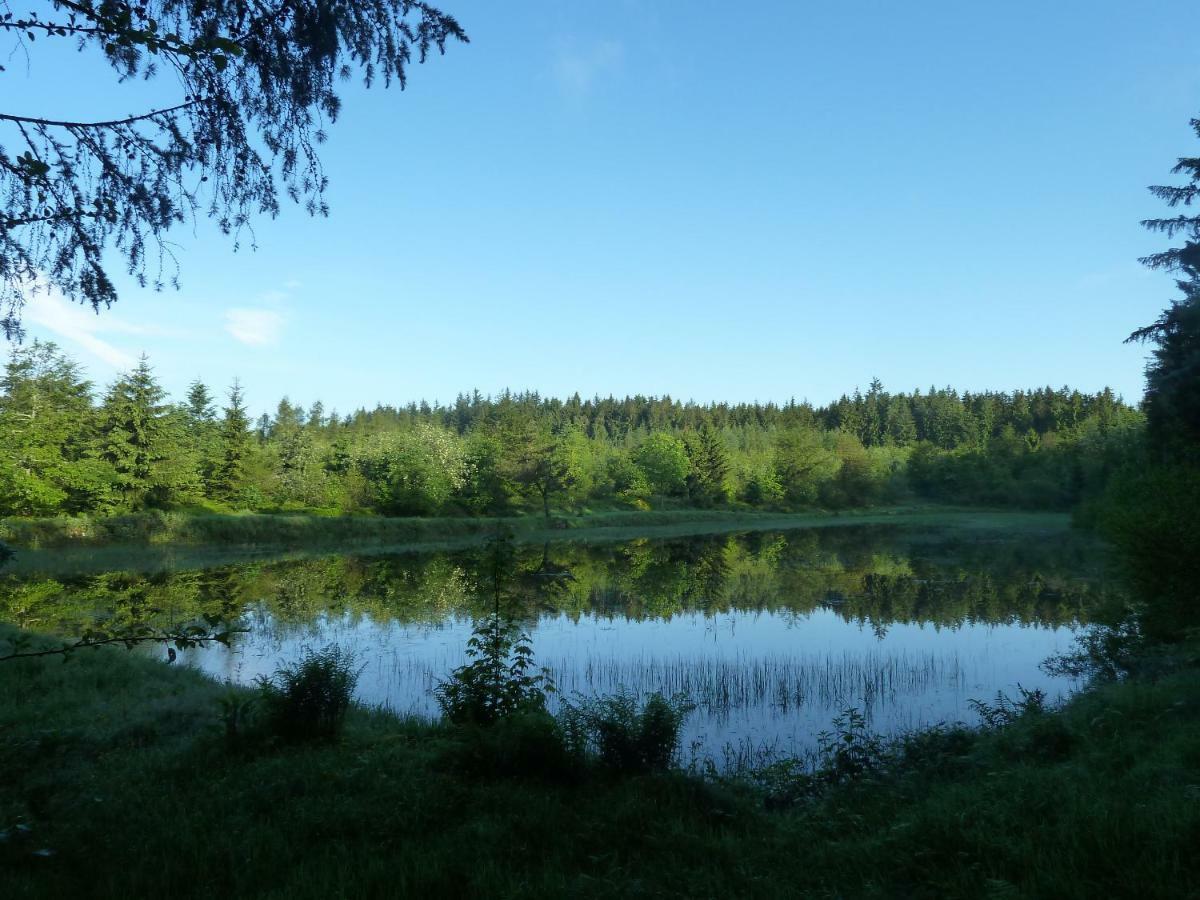 La Fritillaire La Montagne  Zewnętrze zdjęcie