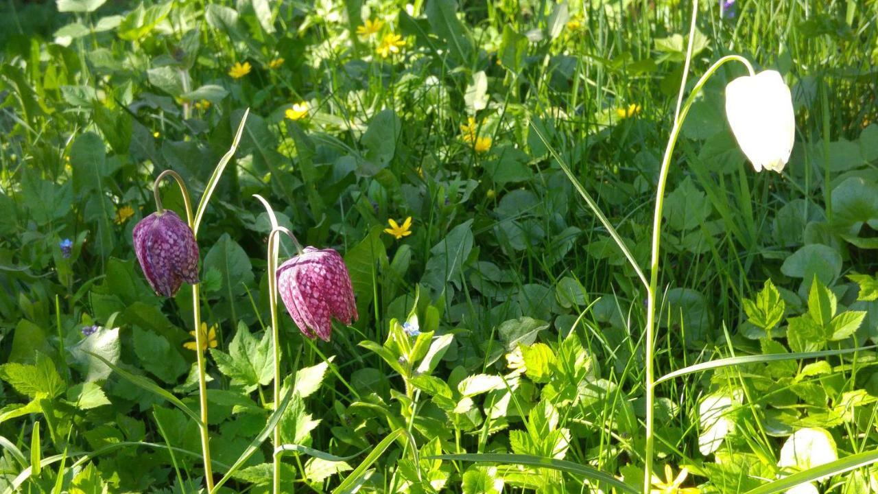 La Fritillaire La Montagne  Zewnętrze zdjęcie